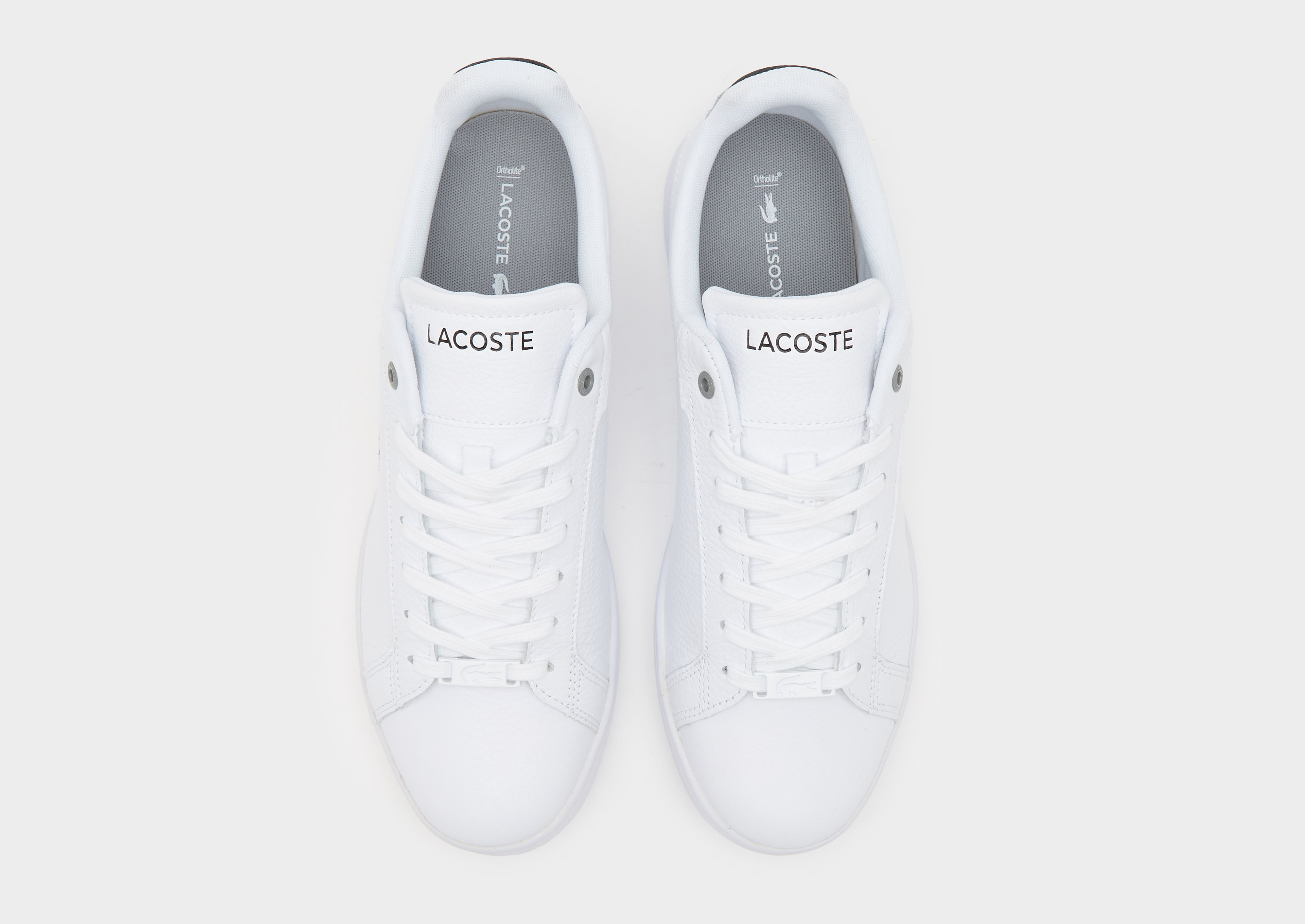 Lacoste Carnaby Evo Homme