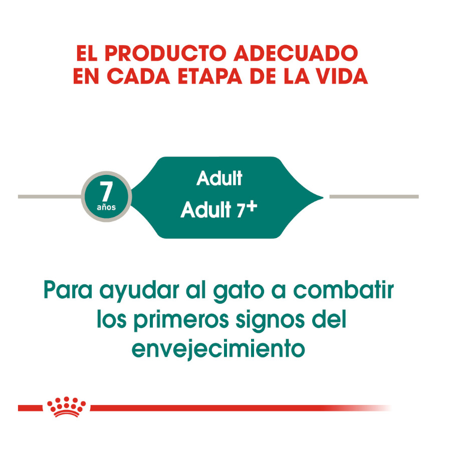 Sachês Royal Canin Senior 7+ Instinctive para gatos