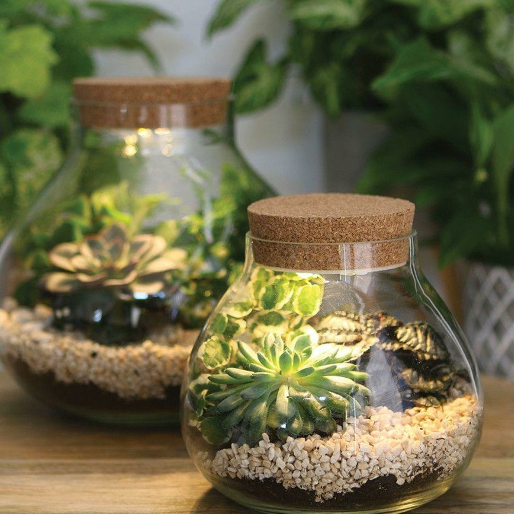 Terrarium à faire soi-même avec led ø 20,5 x 20 cm