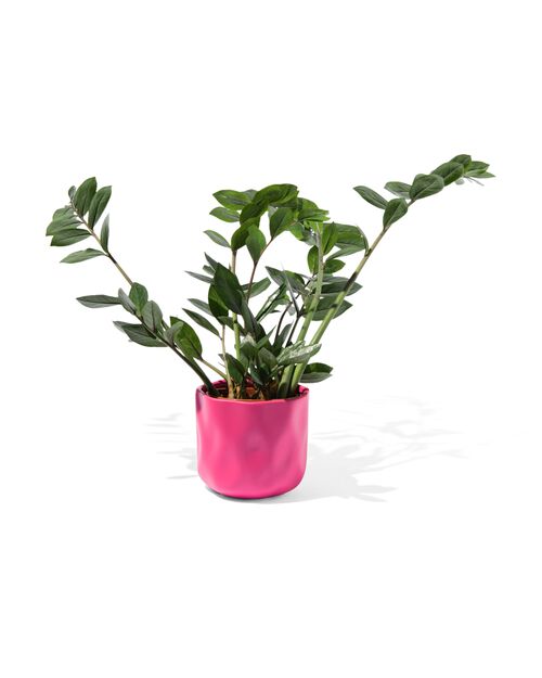 pot de fleurs Ø 12 x 13 cm céramique rose