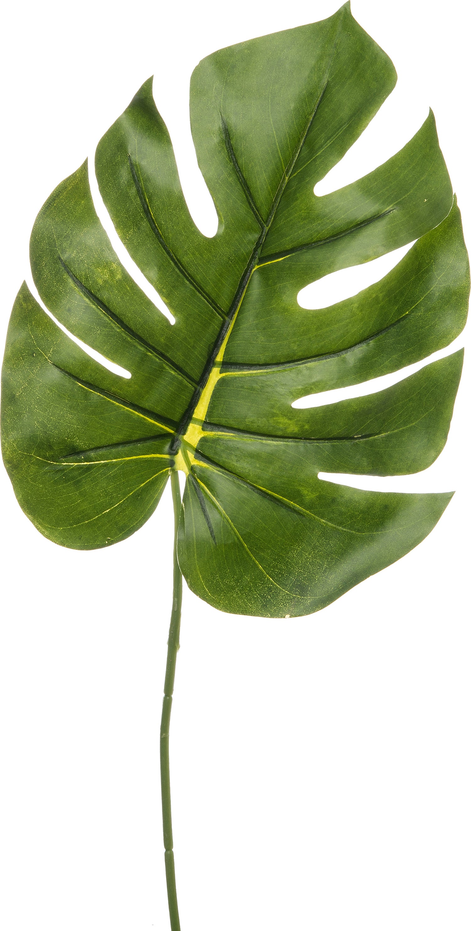 Intratuin kunstblad monstera B 24 H 84 cm