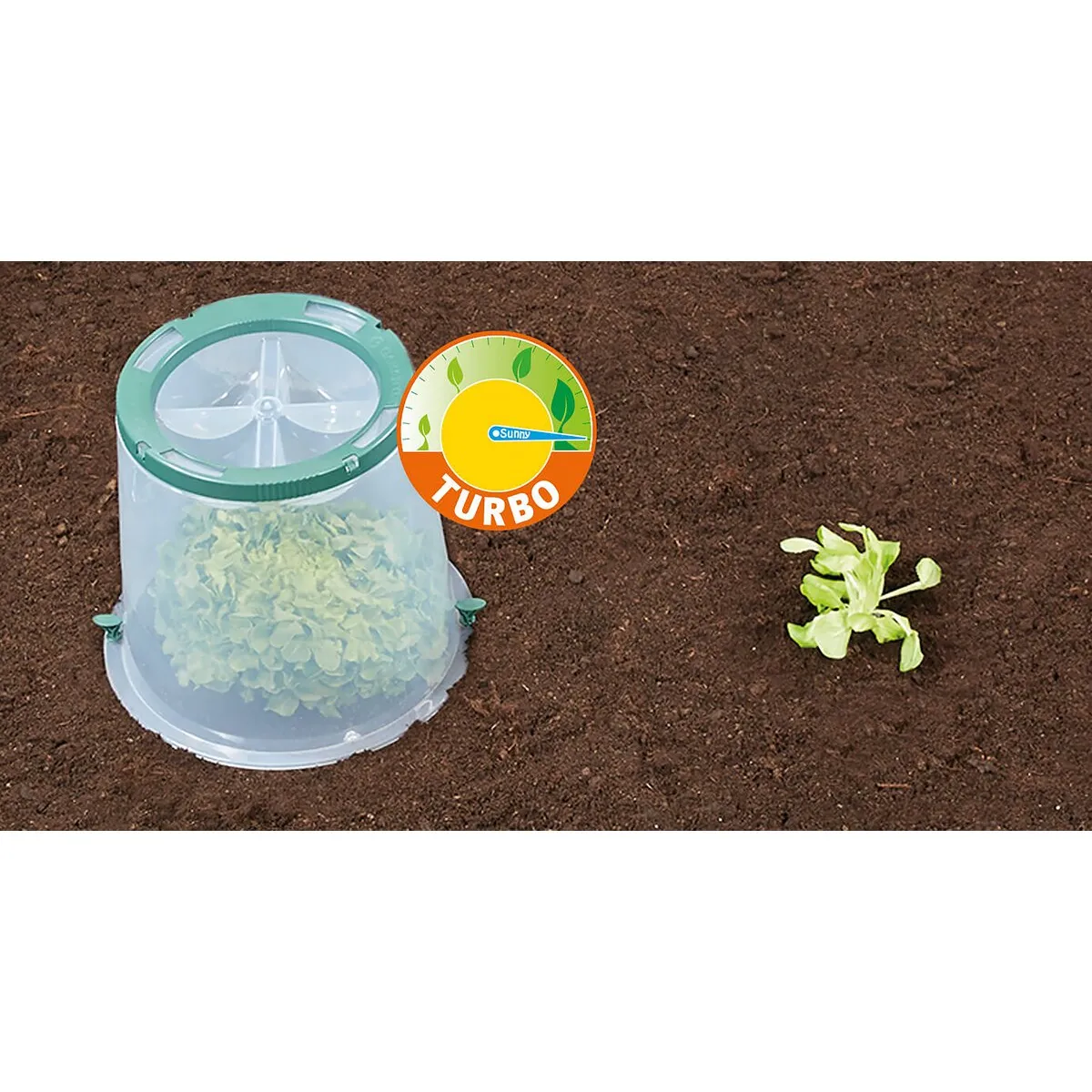 Garantia Graf Cloches de Culture Sunny