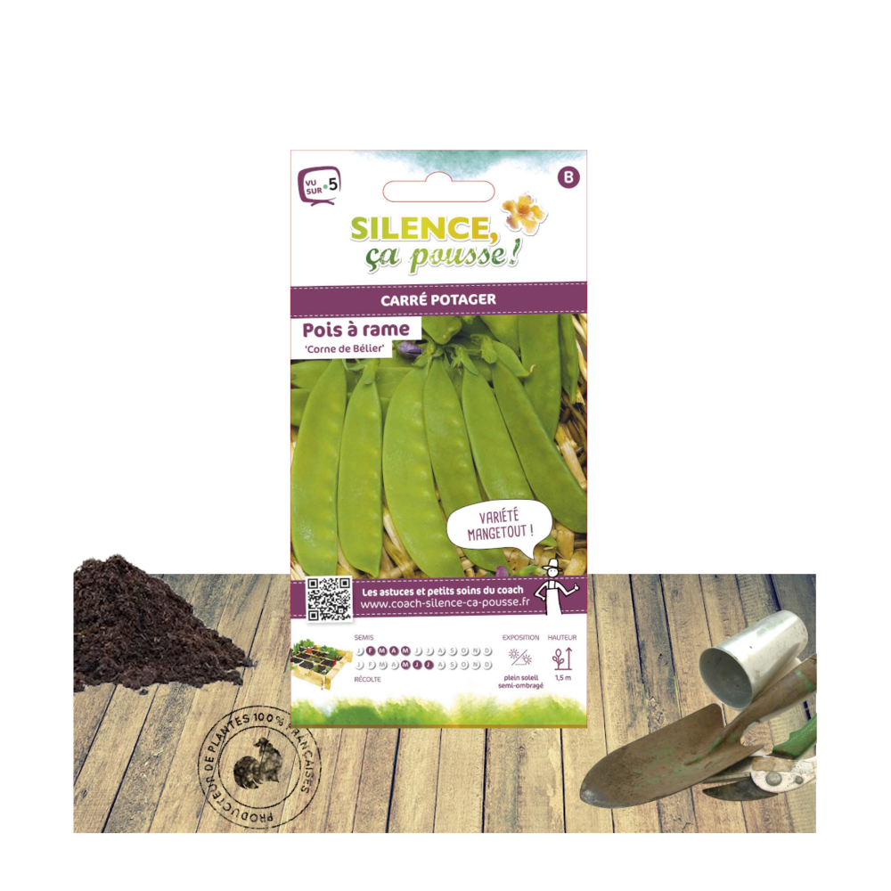 Graines de pois a rame mangetout corne de belier/pisum sativum a rame mangetout corne de belier[-]sachet de 80 gr.