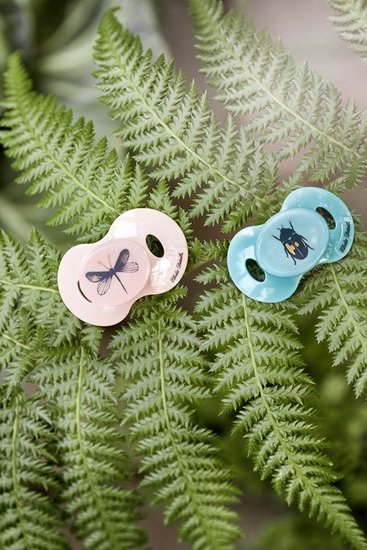 Sucette   Tiny Beetle        Naissance   de               Elodie Details