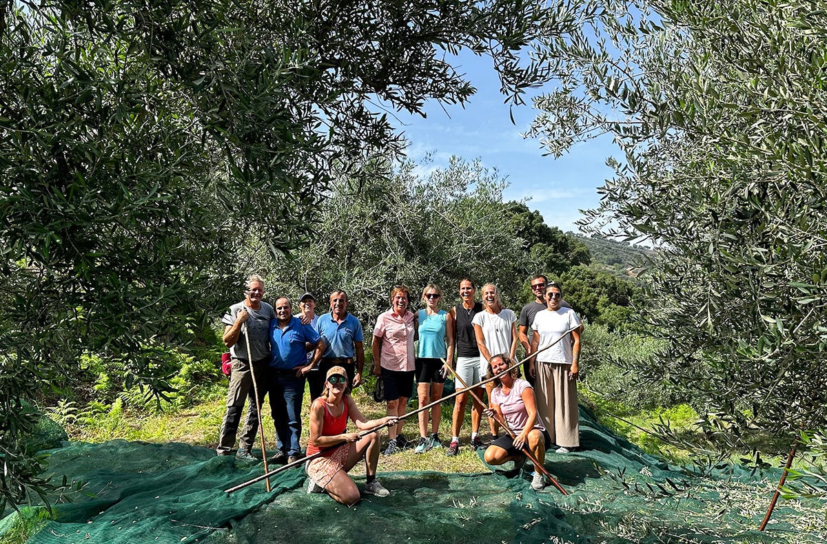 Olivenernte in Sizilien für 2 (3 Nächte)