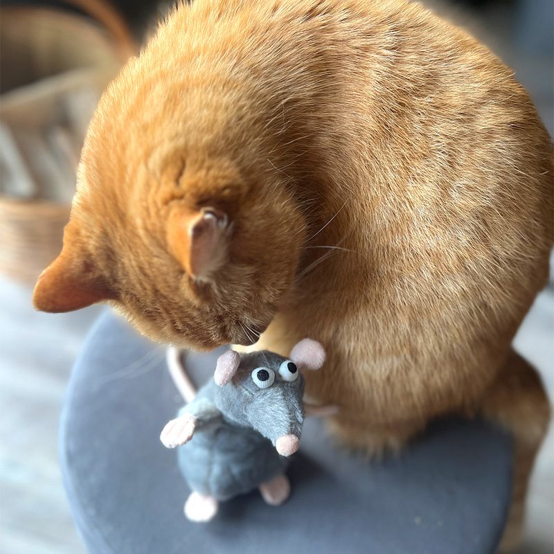 Jouet Aumüller Rat Cédric à la valériane