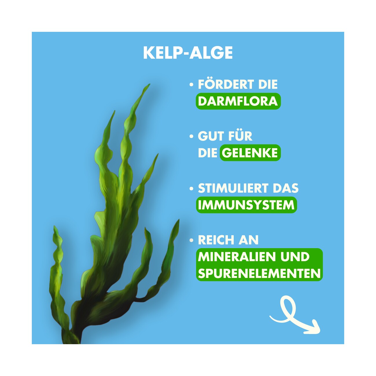 Irish Pure Junior - Huhn + Gemüse & Kelp 100 g