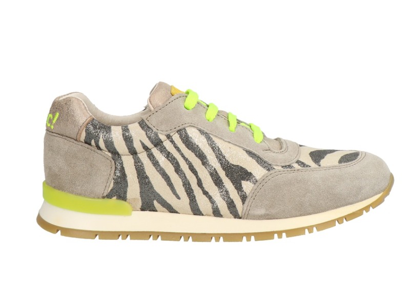 Clic! 8190 Multi color