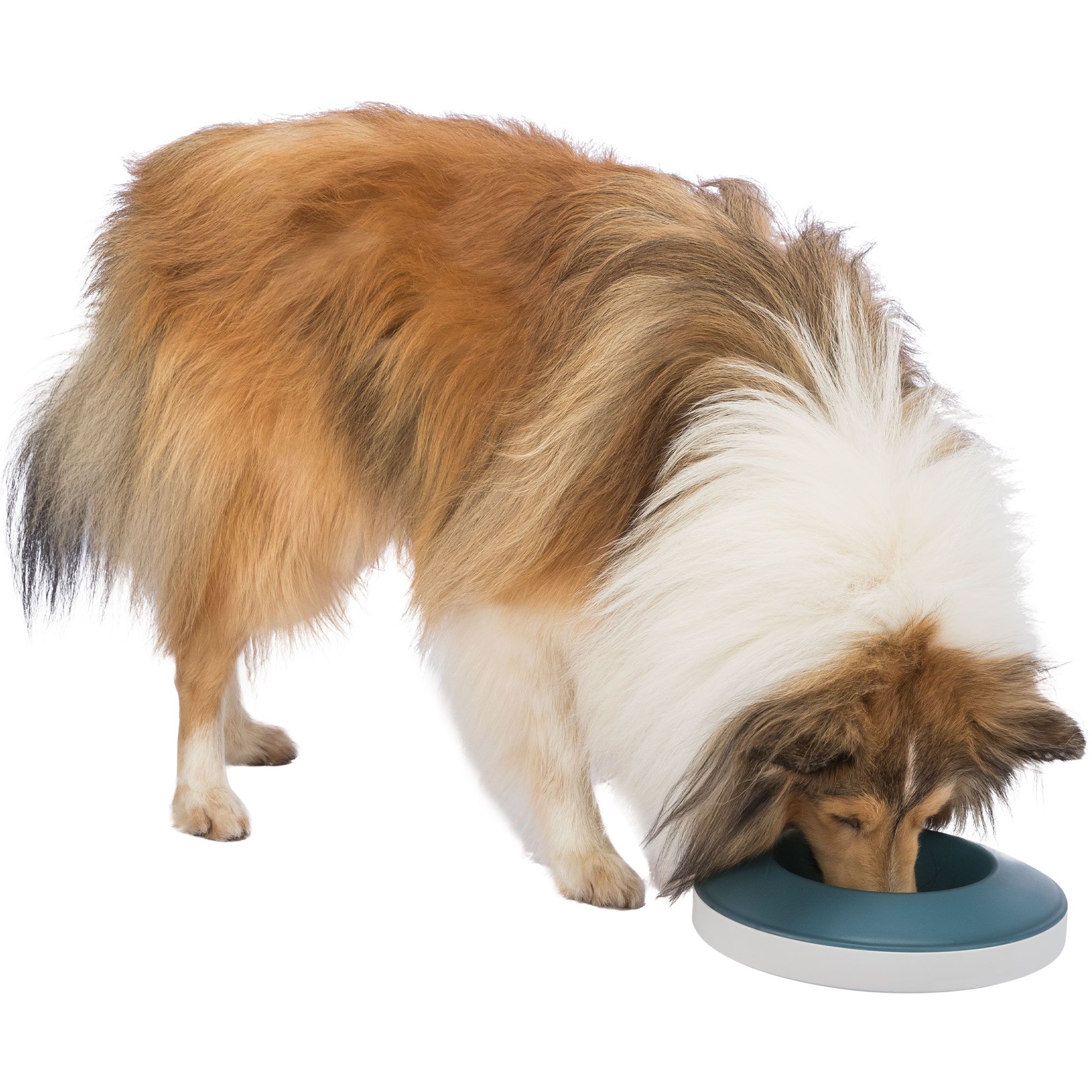 Trixie Slow Feed Napf Rocking Bowl - Langsames Fressen ist gesundes Fressen!