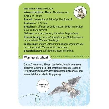 moses. Expedition Natur 50 heimische Vögel