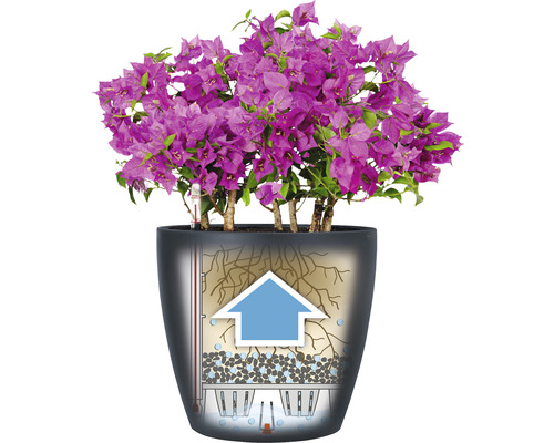 Lechuza Classico Color bloempot Ø 18 cm zandbruin