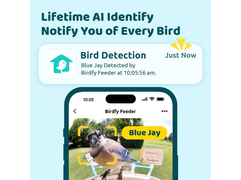 Birdfy Futterspender Basic Solar Vogelfutterspender mit Kamera und Lifetime AI