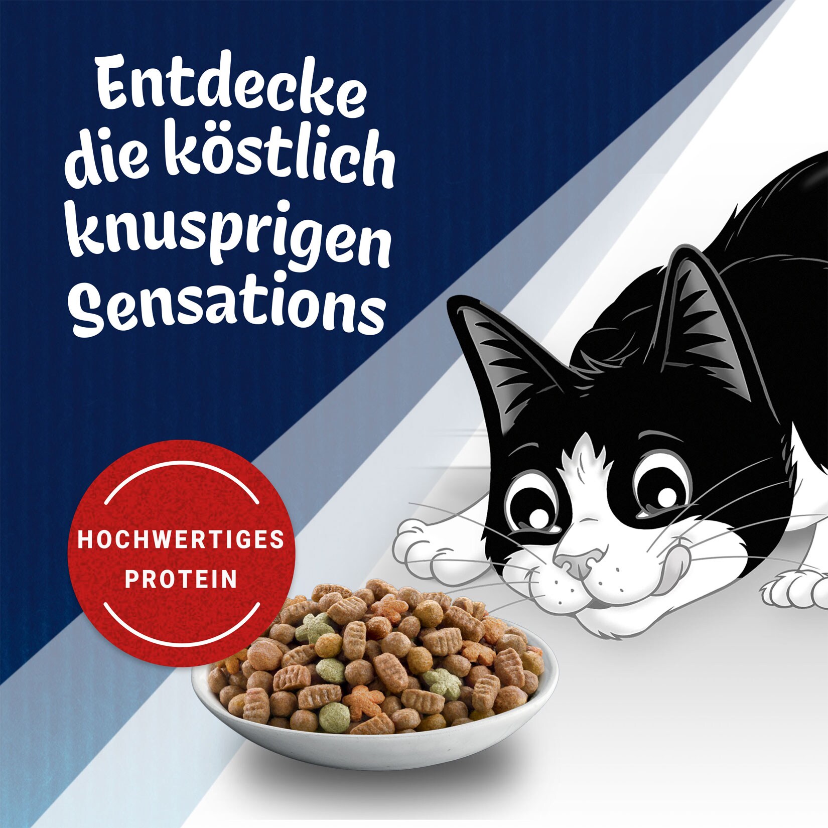 Felix Katzennahrung Sensations 1 kg, verschiedene Sorten, 10er Pack