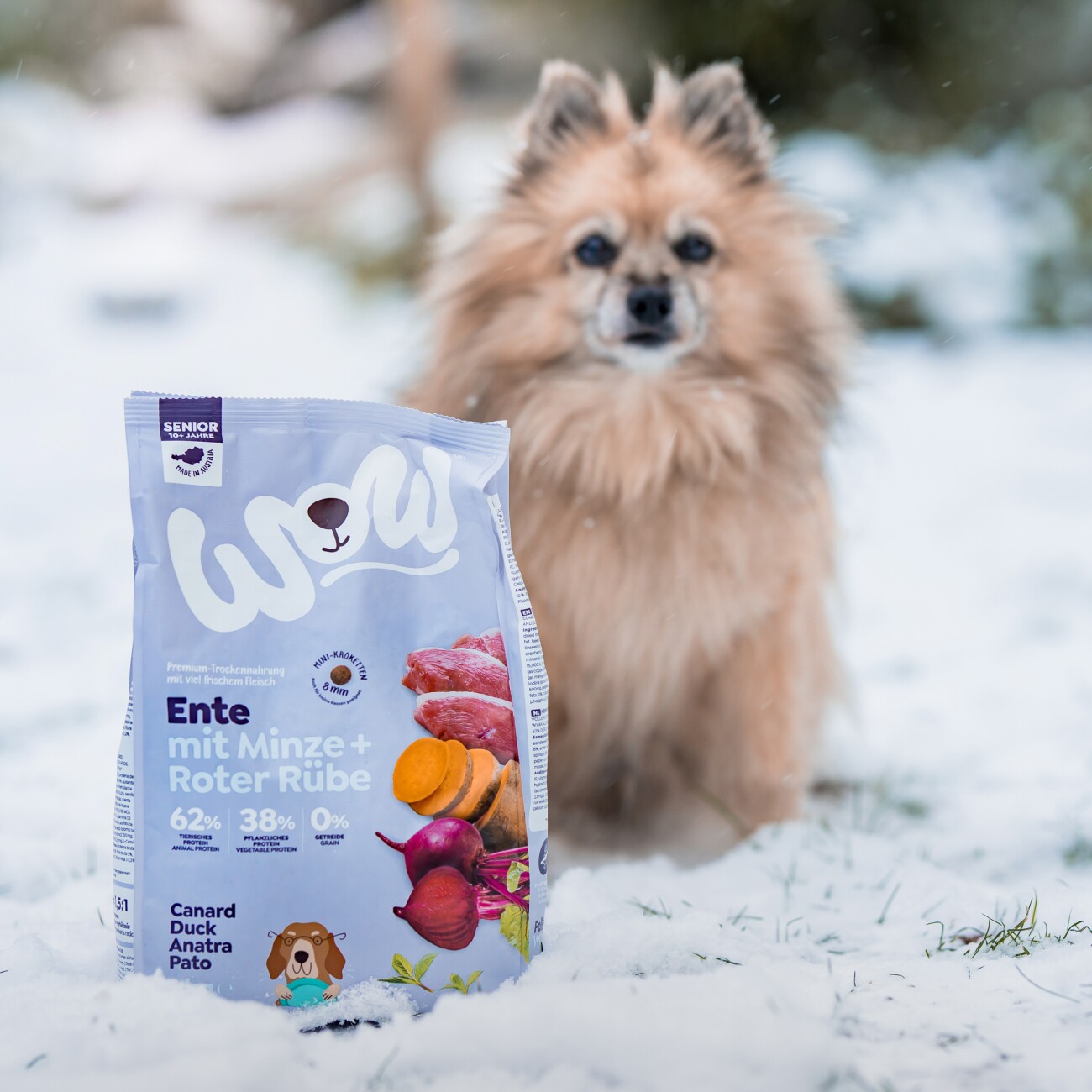 WOW Senior Ente mit Minze 6 kg