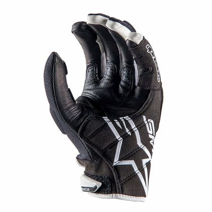 Gants Alpinestars SMX-2 AIR CARBON V2 - Noir / Blanc