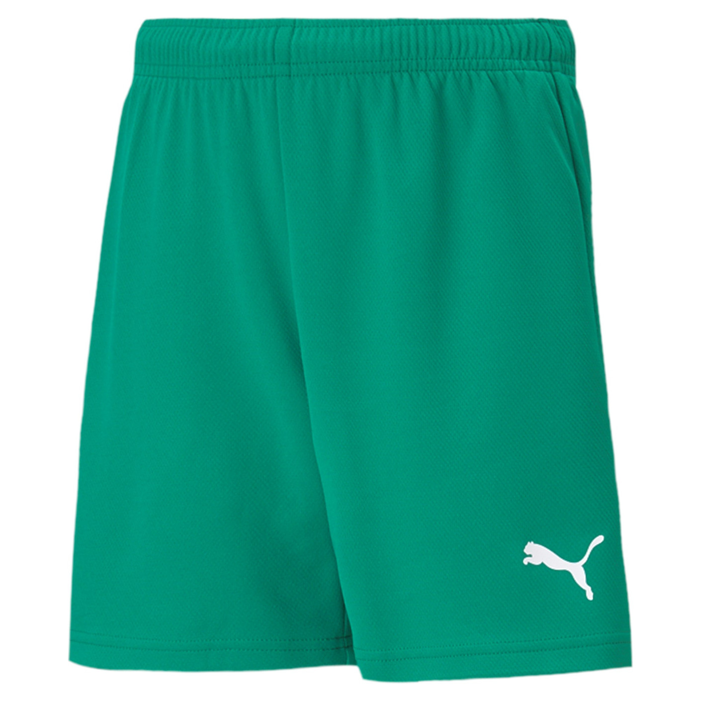 PUMA teamRISE Voetbalbroekje Kids Groen Wit