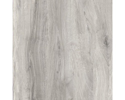Porseleinen terrastegel Limewood grijs gerectificeerde rand 60 x 60 x 2 cm