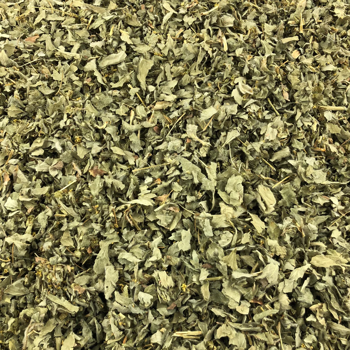 Alchemille Feuilles Bio en Vrac 1kg Vrac Bio