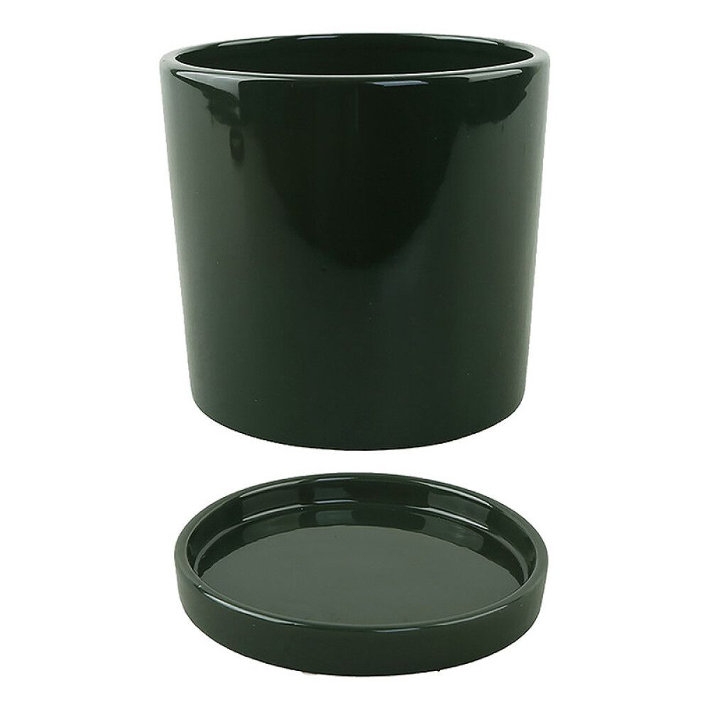 INNENDØRS POTTE PIARDINO SAMIRA DARK FOREST Ø14CM SVART