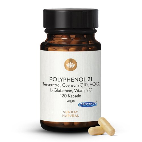 Sunday Natural Products  Polyphenol 21 Komplex