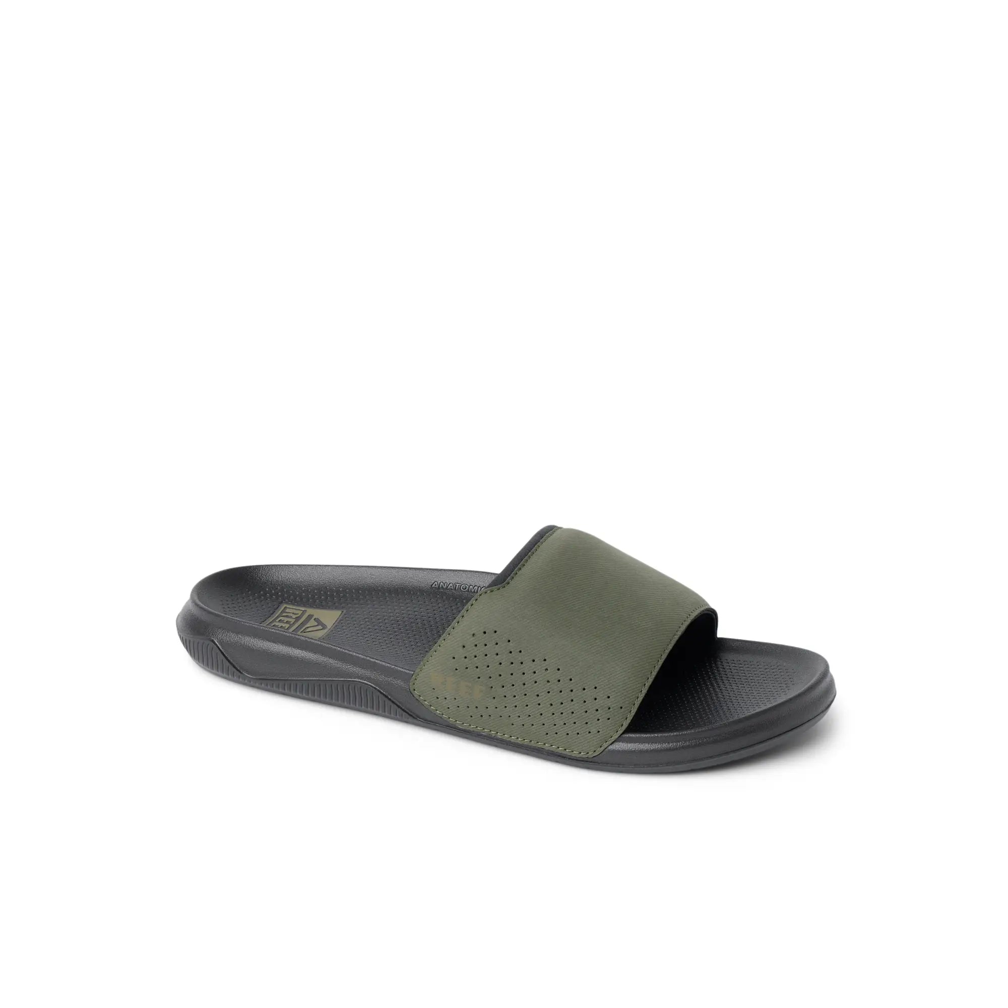 Tailslide Olive Raven
