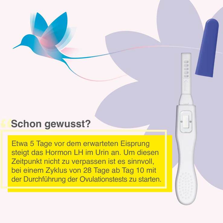 Earlibird Ovulationstest, 5 St