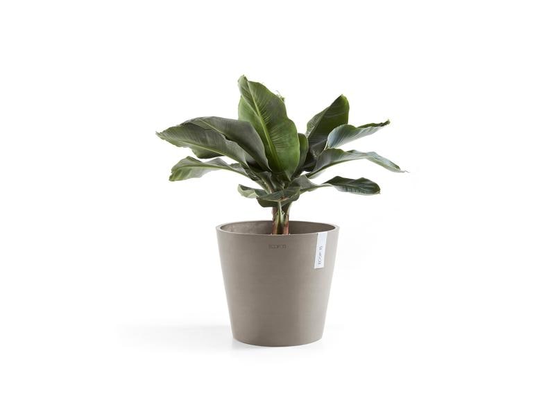 Ecopots Pflanzentopf Amsterdam 30, French Taupe Robuster und langlebiger Blumentopf