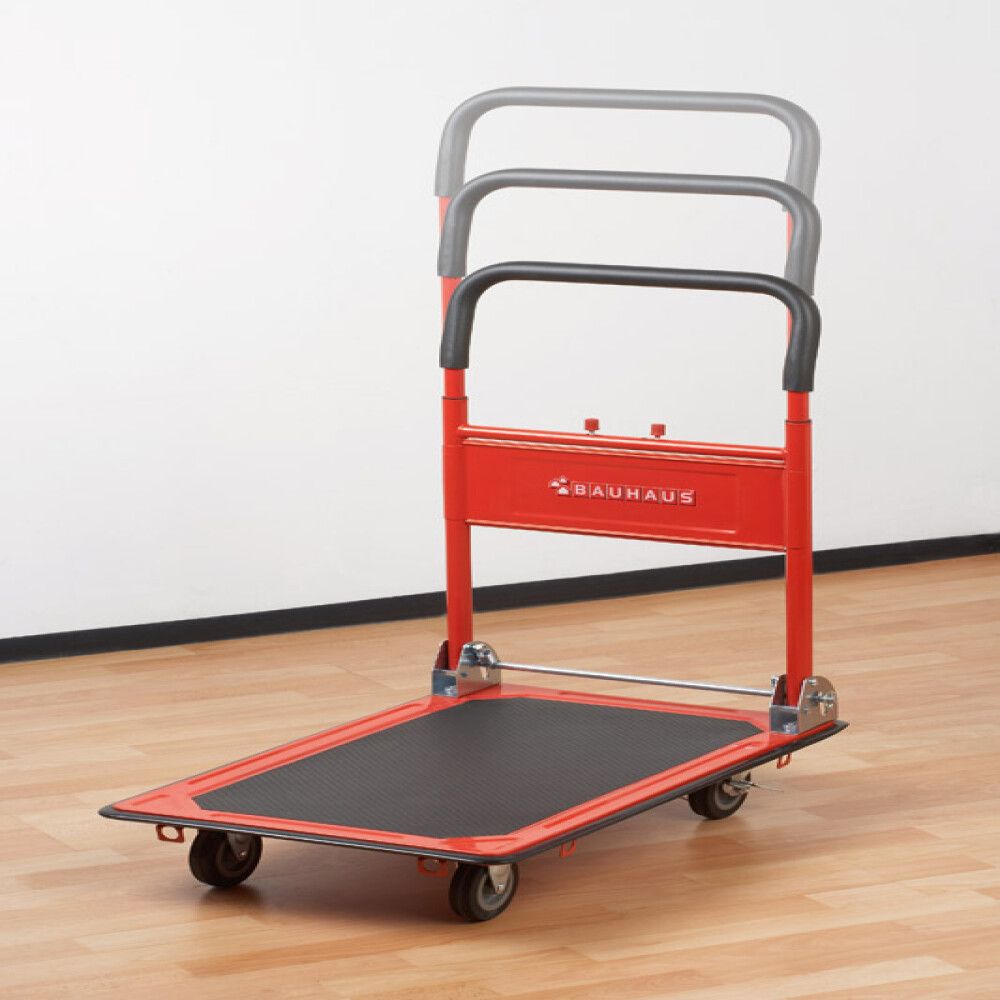 PLATTFORMVOGN 300 KG 5