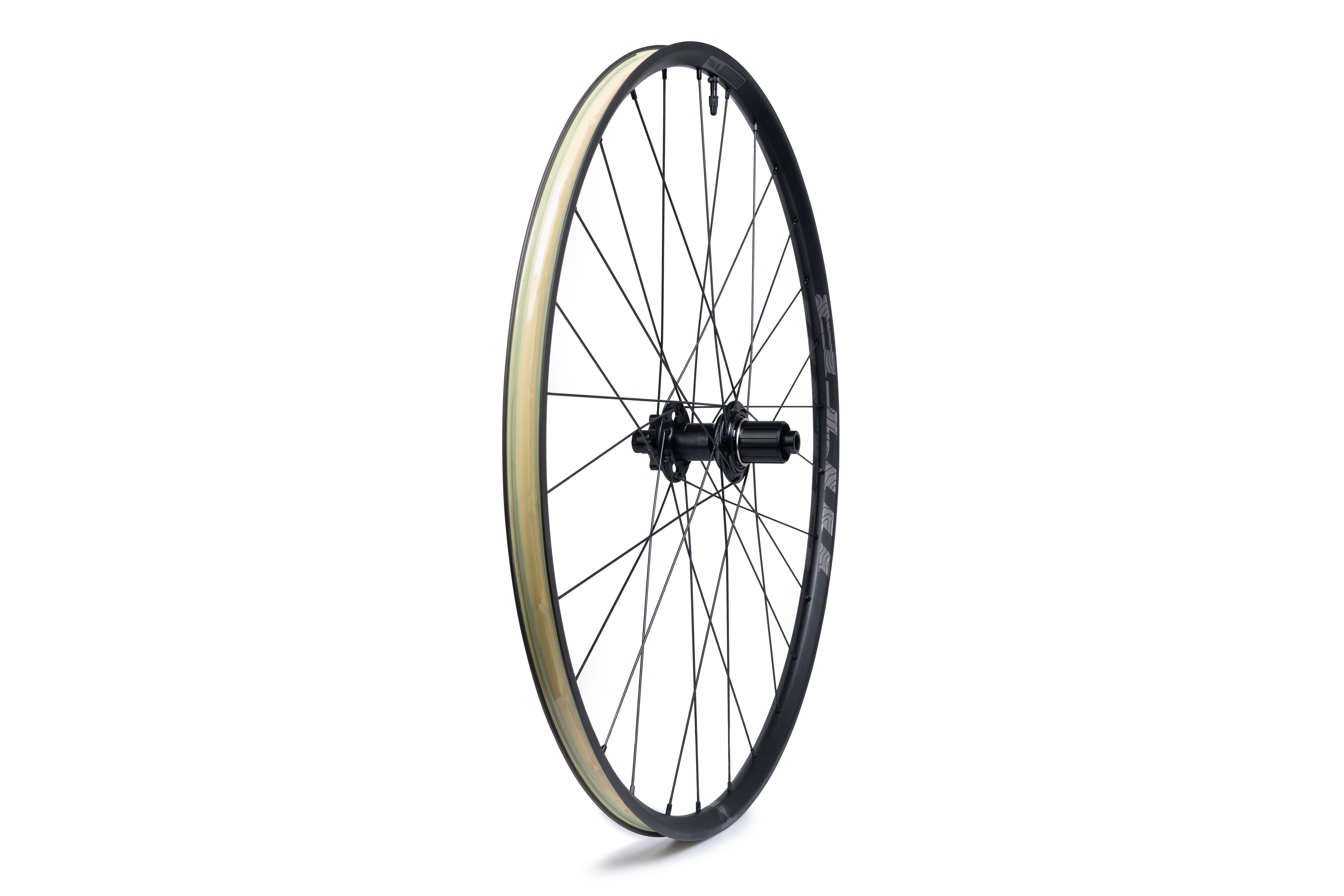 WTB Proterra Light i25