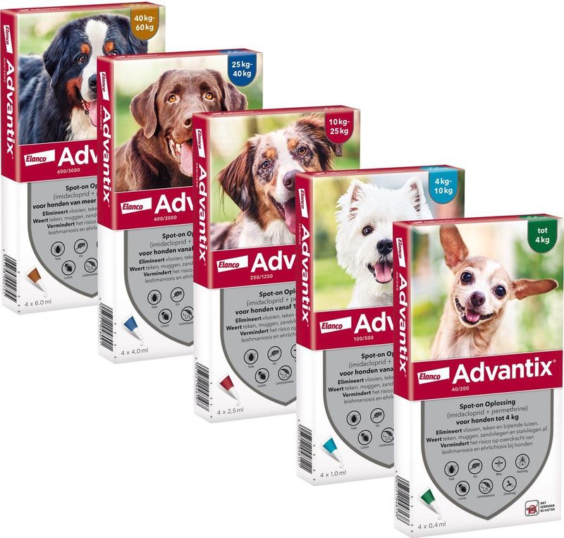 Bayer Advantix Vlooien & Teken Pipetten - Hond 40+ kg - 4 stuks