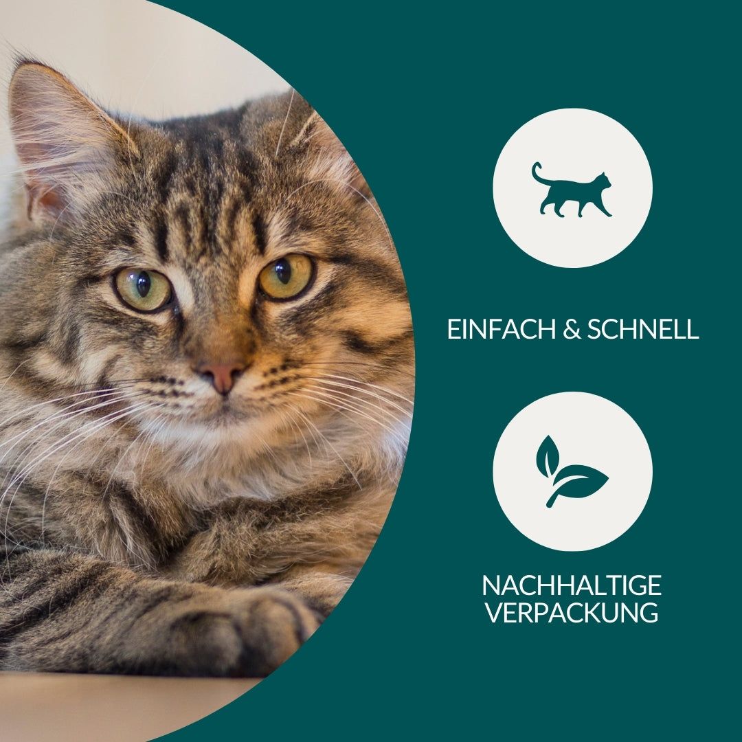 Wurmtest Pro Katze