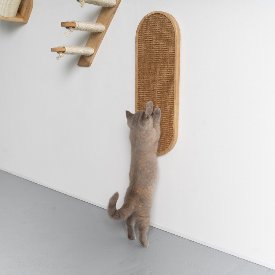 Parede de escalada para gatos - Arranhador de luxo (madeira de seringueira cáqui)