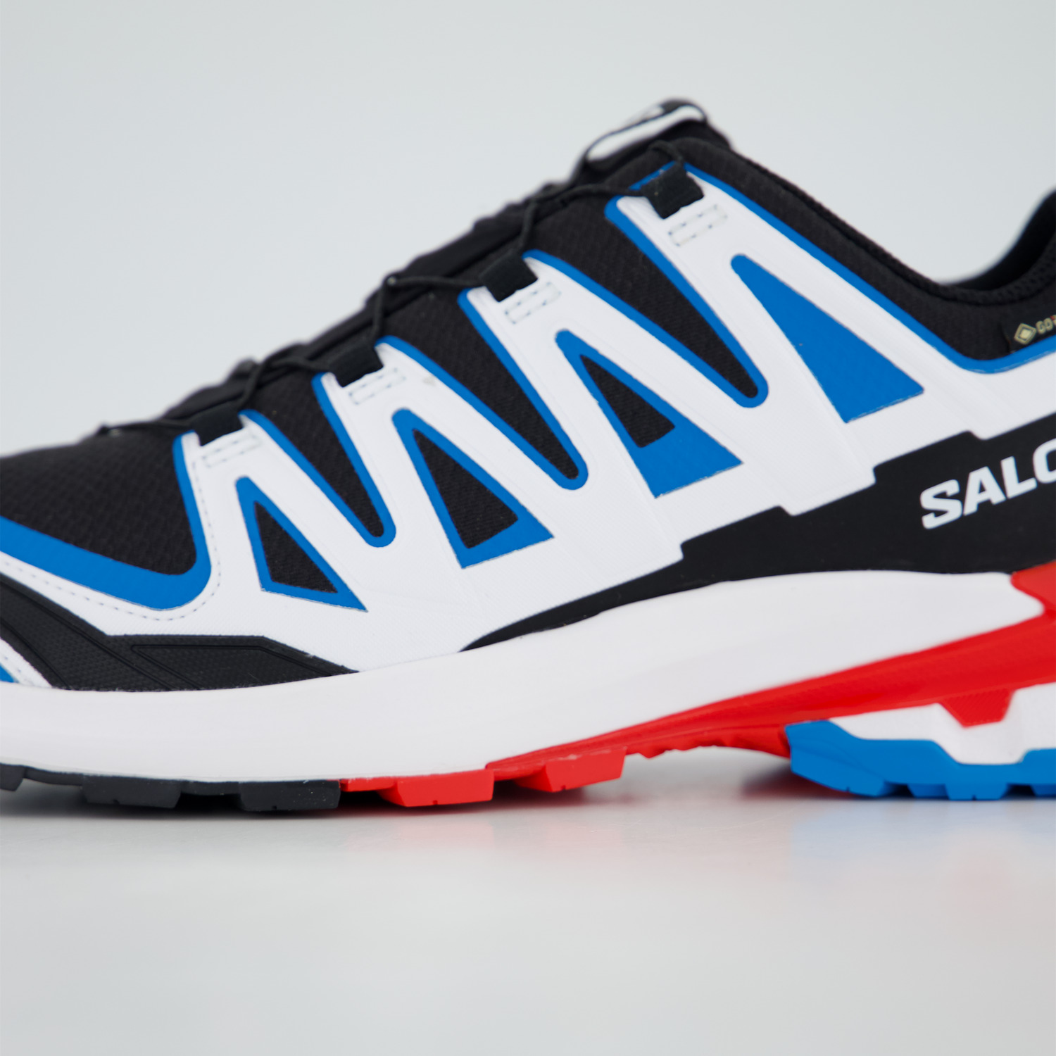 Salomon Schuhe XA PRO 3D V9 GTX