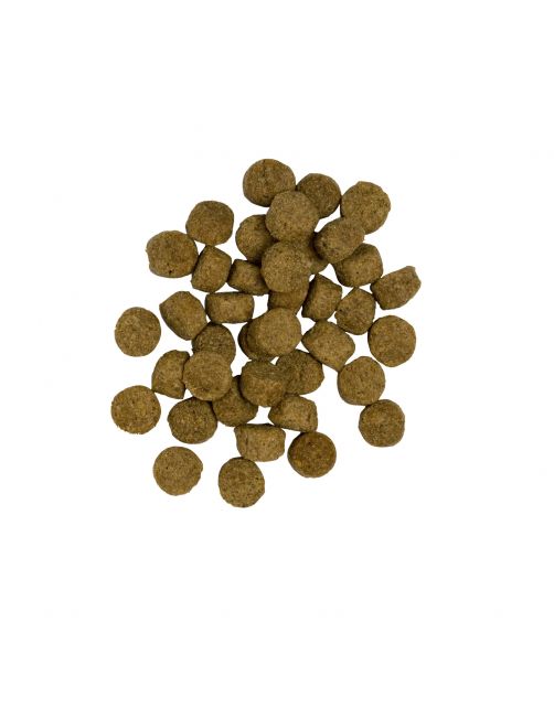 Pets Place Plus Hond Adult Light Kalkoen&Rijst - Hondenvoer