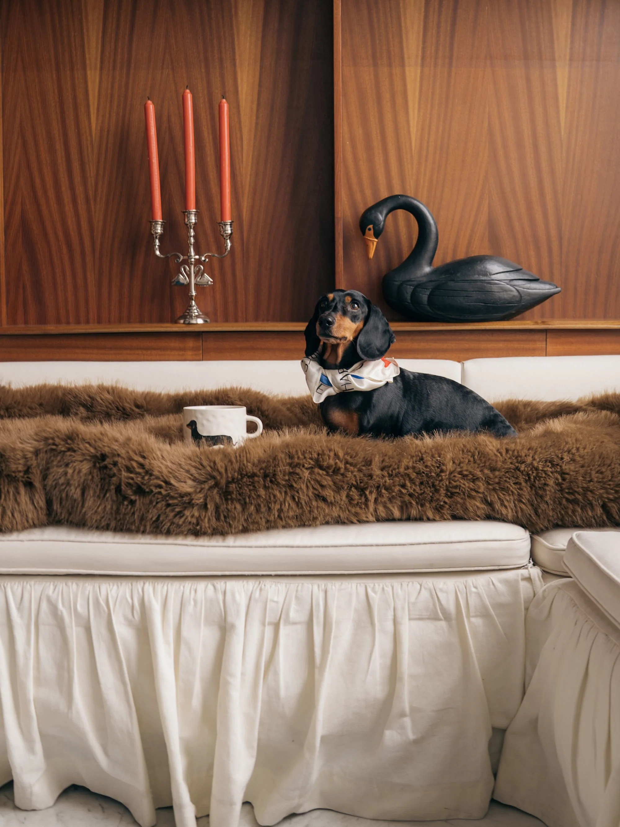 Handbeschilderde beker Dachshund
