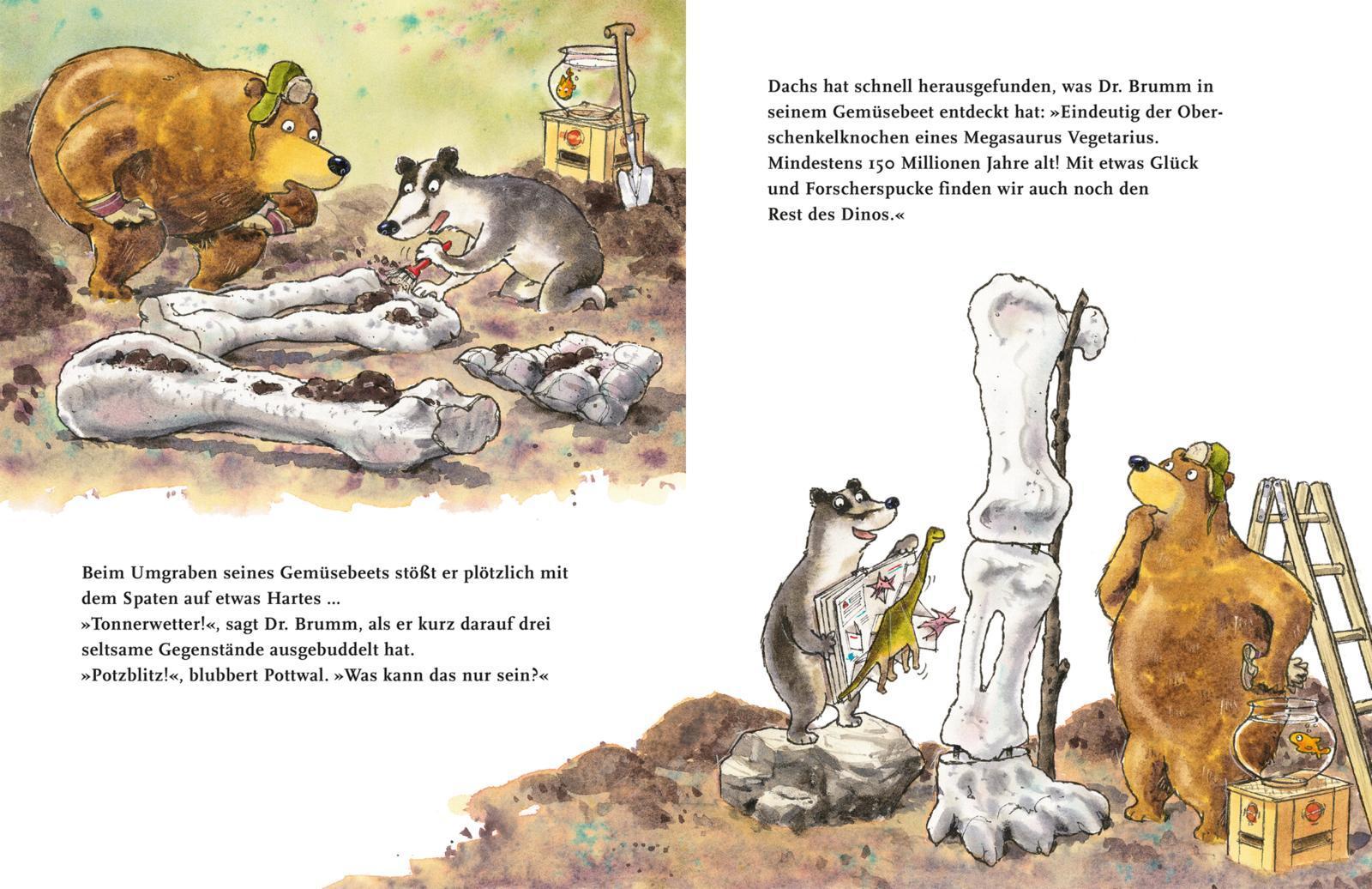 Dr. Brumm: Dr. Brumm und der Megasaurus