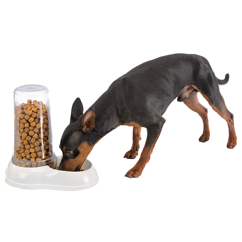 Ferplast distributeur d'eau ou nourriture pour chats et chiens azimut 600 dispenser pour animaux mangeoire pour croquettes