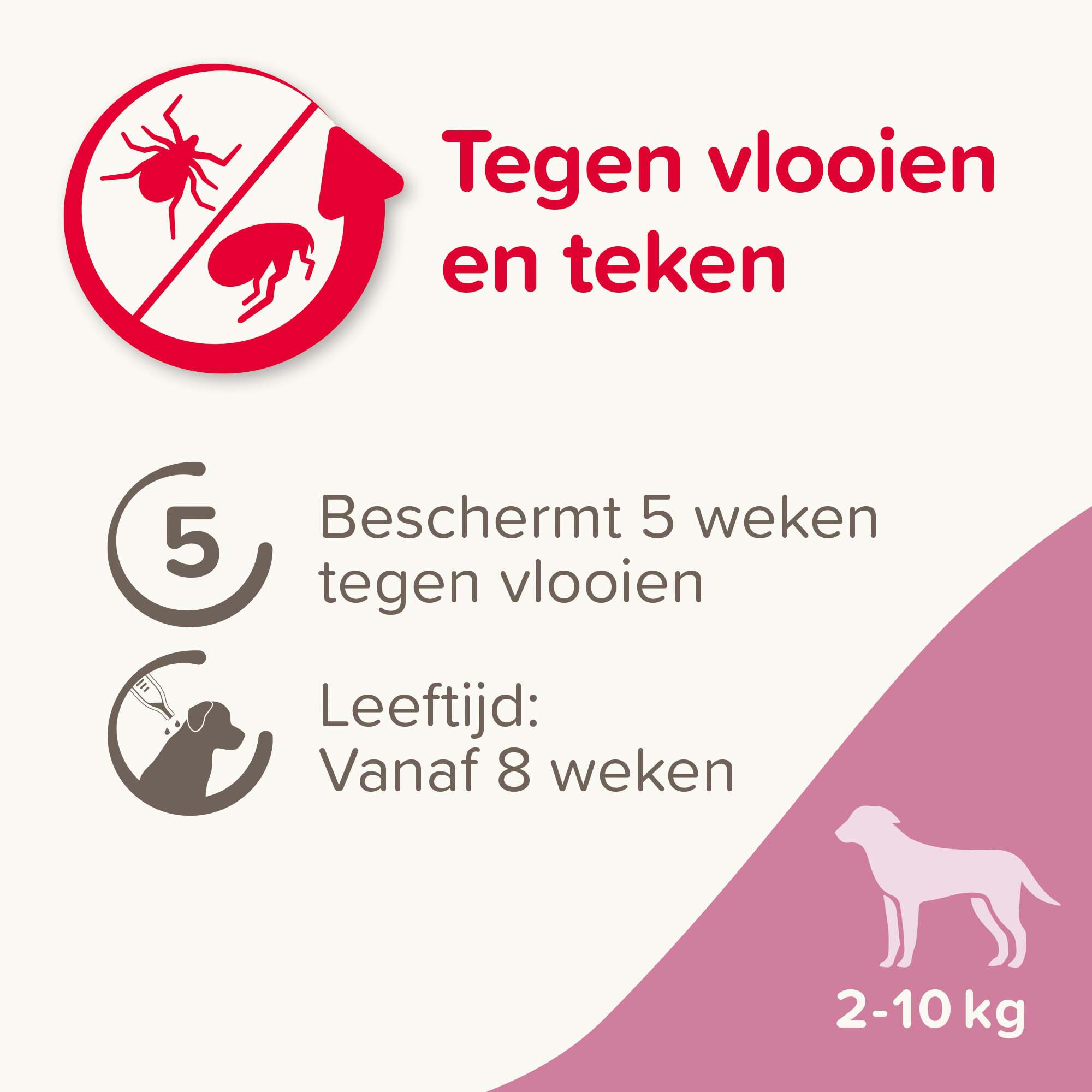 Beaphar Fiprotec Pipet - Anti Vlooien en teken - Hond - 4 Stuks - S