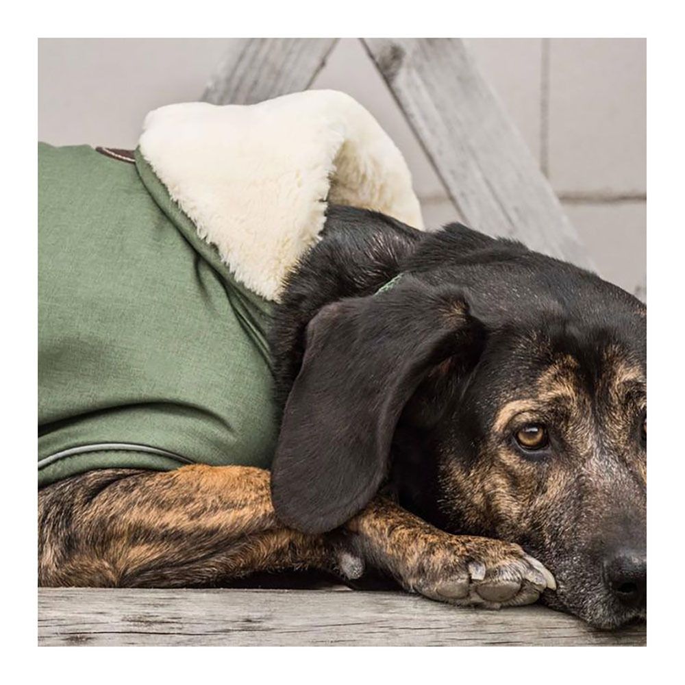 Kentucky PINA - Manteau pour chien vert sapin