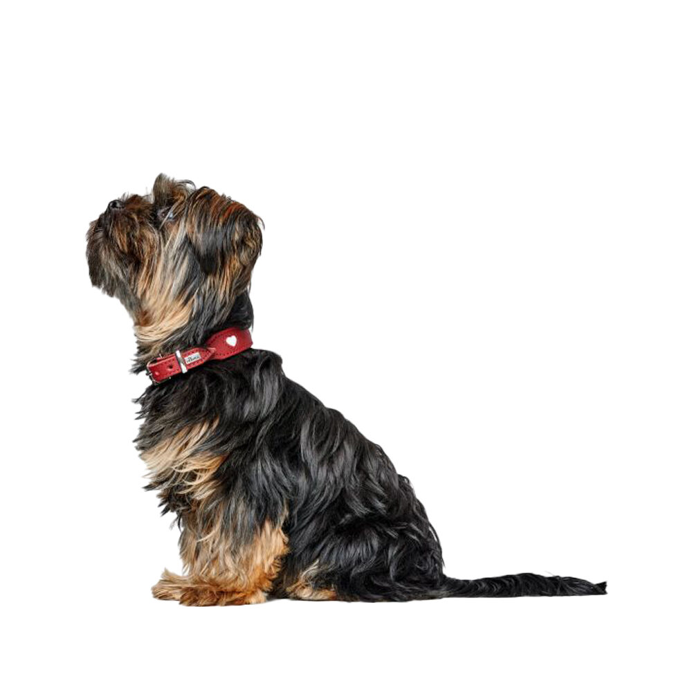 Hunter Collar Love