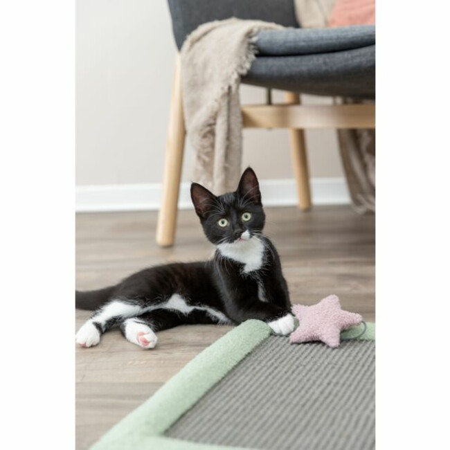 Tapis griffoir Junior Trixie pour chaton