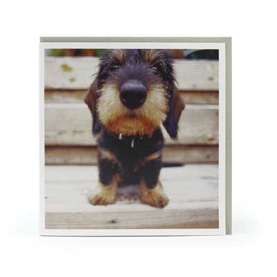 Sidney Card