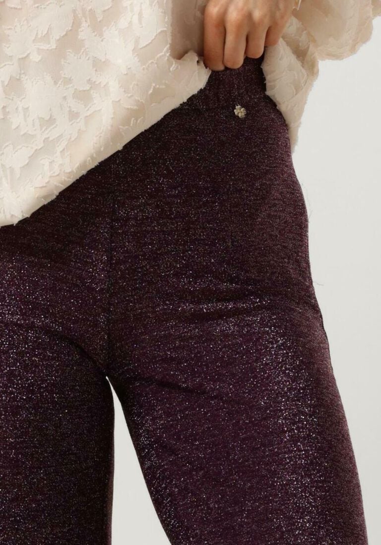 HARPER & YVE paarse harper & yve wijde broek glitter-pa