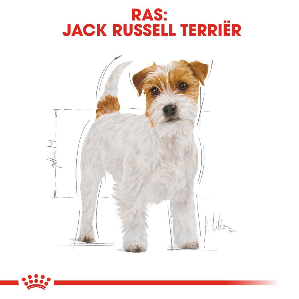 Royal Canin Jack Russell Terrier Adult - Hondenvoer - 1.5 Kilogram - gevogelte