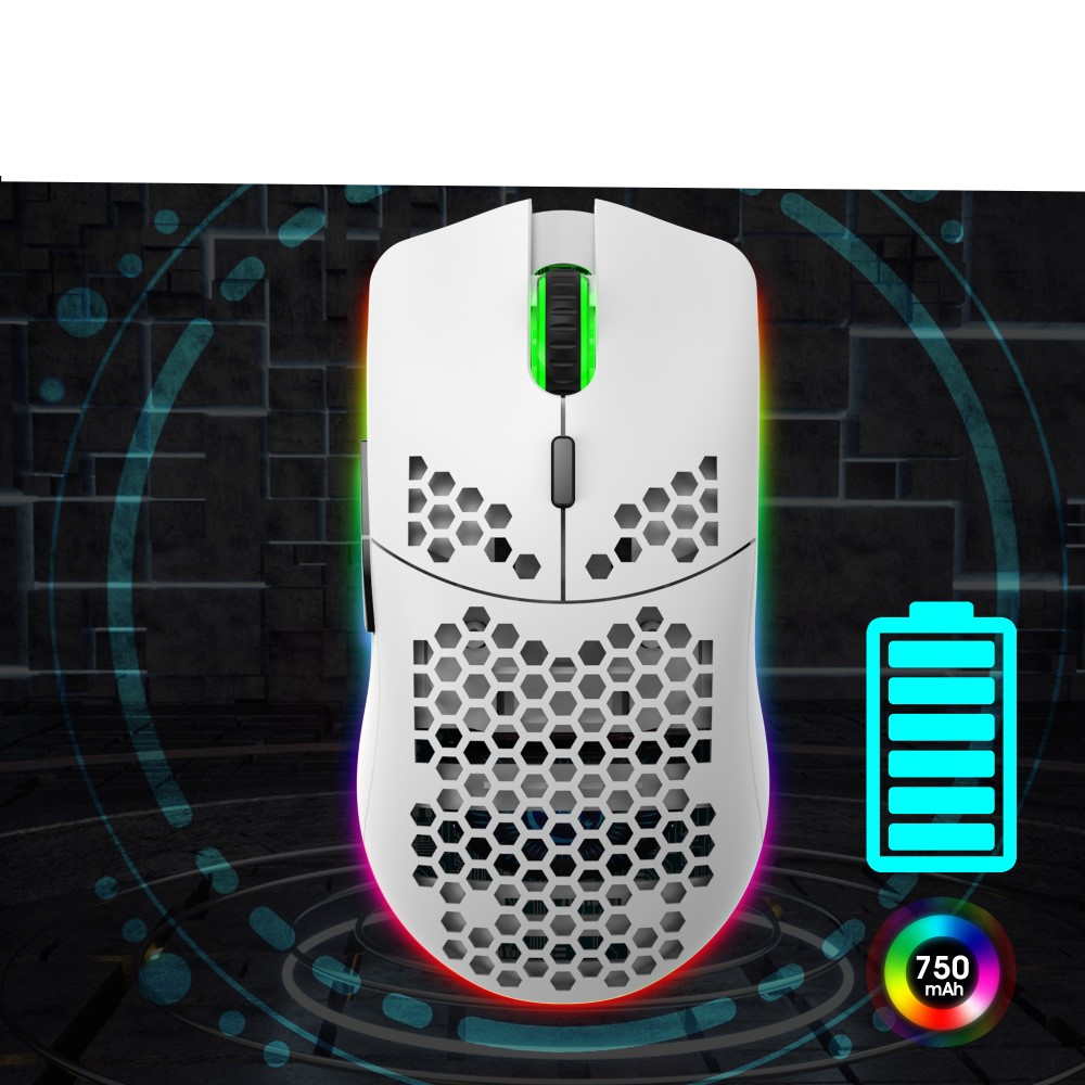 Optische Wireless Gaming Maus mit 3600 DPI   USB Dongle mit RGB LED Beleuchtung - Weiss