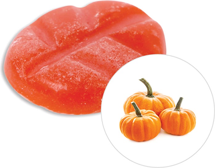 Scentchips geurwax Pumpkin 8 stuks