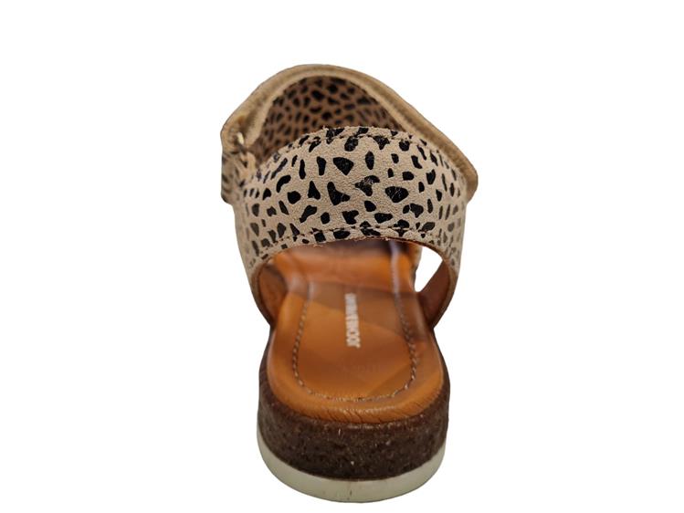 Jochie & Freaks 24724 Daisy 866 Leopard
