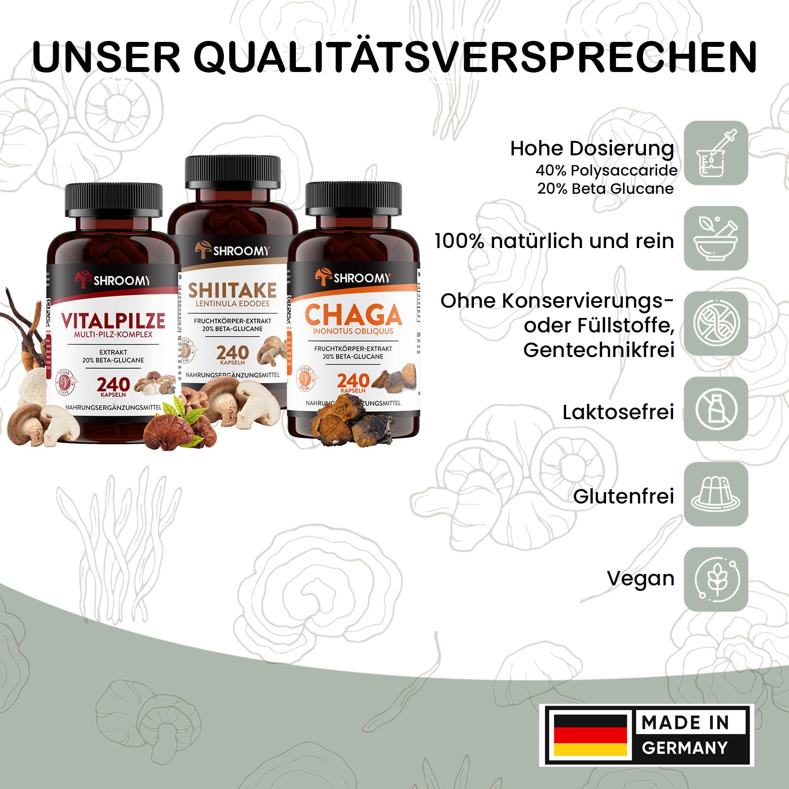 SHROOMY Vitalpilze, Shiitake und Chaga im Set