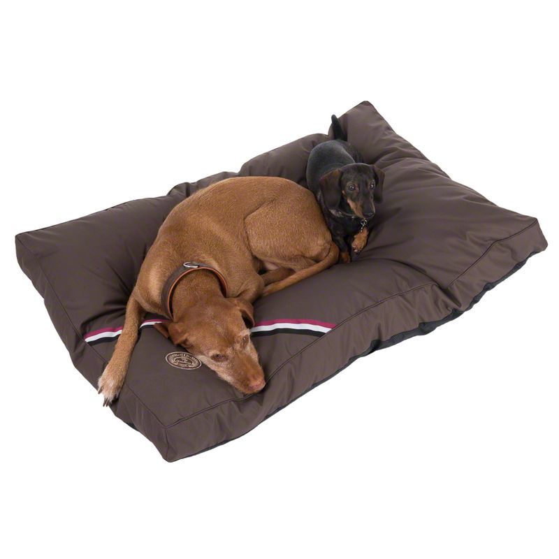 Coussin Champion