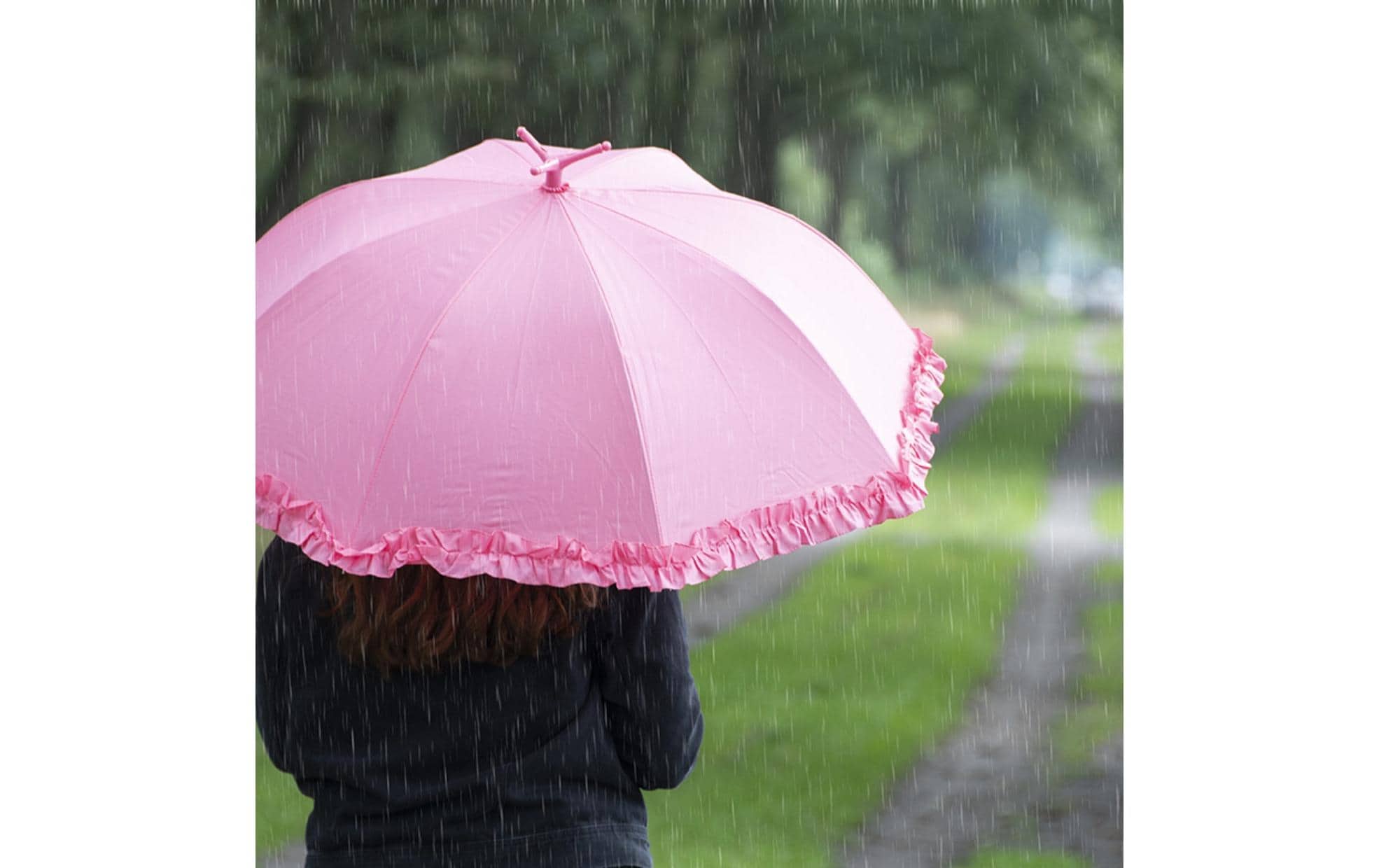 Schirm Flamingo RosaFaltbarer Regenschirm